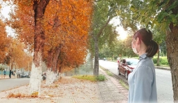 Giận 'tím mặt' với con đường phong lá đỏ ở Hà Nội: Photoshop nợ dân tình một lời xin lỗi!