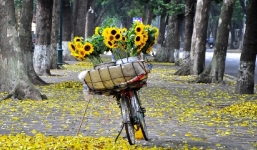 Dự báo thời tiết 6/1: Trời Hà Nội nhiều mây, chiều tối và đêm có mưa