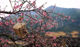 Thời tiết 10 ngày tới trên cả nước (12-22/1): Bắc Bộ tiếp tục đón đợt rét đậm diện rộng