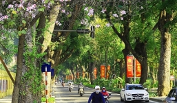 Dự báo thời tiết 19/1: Sương mù nhẹ sáng sớm, Hà Nội ngày nắng đẹp