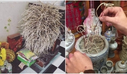 Rút tỉa chân hương đừng rút hết, nhớ kỹ những con số này để không phạm 