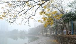Dự báo thời tiết 27/1: Mưa phùn và sương mù sáng sớm, chiều hửng nắng