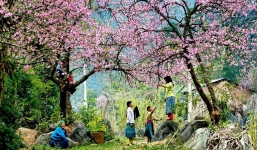 Cập nhật thời tiết Tết từ 25 tháng Chạp đến 6 tháng Giêng: Rét xuyên Tết, có nơi xuất hiện băng giá, mưa tuyết