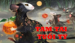 Tuổi xông đất đẹp nhất cho các gia chủ tuổi Tý năm đầu hạn tam tai Nhâm Dần 2022