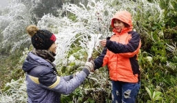 Bắc Bộ đón rét đậm, rét hại trong suốt 3 ngày Tết chính