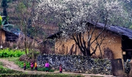 Bản tin thời tiết Tết Nguyên đán Nhâm Dần 2022: Không khí lạnh tiếp tục bổ sung