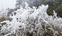 Thời tiết 10 ngày tới trên cả nước (6-16/2): Trời rét đậm, rét hại có nơi băng giá