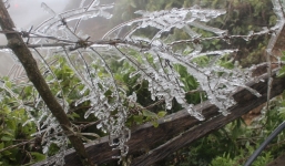 Thời tiết 10 ngày tới trên cả nước (8-18/2): Trời tiếp tục rét đậm, rét hại