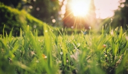 Rét lạnh triền miên, Bắc Bộ đã có dấu hiệu ấm trở lại 