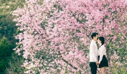 Dự báo thời tiết 14/2: Ngày lễ Tình yêu trời đẹp, thích hợp hẹn hò