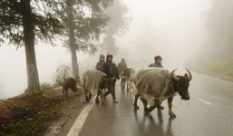 Thời tiết 10 ngày tới trên cả nước từ 14-24/2: Trời rét, có nơi rét đậm kèm mưa rào rải rác