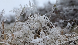 Cập nhật thời tiết 10 ngày tới trên cả nước từ ngày 17 đến ngày 27/2