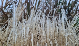 Thời tiết 10 ngày tới trên cả nước từ 20-2/3: Trời rét, có nơi rét đậm đến cuối tháng 