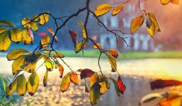 Thời tiết 10 ngày tới trên cả nước từ 24/2-6/3: Hết rét đậm rét hại, Bắc Bộ lại đón nồm ẩm