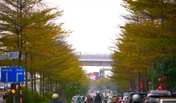 Thời tiết 10 ngày tới trên cả nước từ 8-18/3: Ngày nắng đẹp, sáng sớm và đêm trời rét