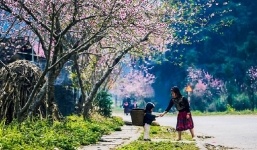 Thời tiết 10 ngày tới trên cả nước từ 9-19/3: Đêm không mưa, sáng sớm có sương mù trời nắng