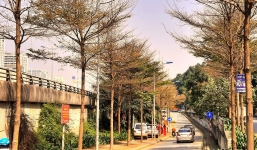 Thời tiết 10 ngày tới trên cả nước từ 10-20/3: Trưa chiều trời nắng, đêm và sáng trời rét