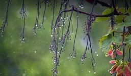 Thời tiết 10 ngày tới trên cả nước từ 12-22/3: Sáng sớm có sương mù và sương mù nhẹ rải rác