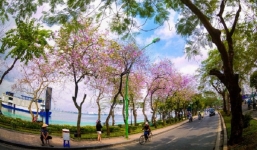 Thời tiết 10 ngày tới trên cả nước từ 13-23/3: Cuối tháng Bắc Bộ đón lạnh