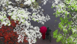 Thời tiết 10 ngày tới trên cả nước từ 18-28/3: Sương mù nhẹ rải rác, trưa chiều trời nắng