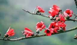 Thời tiết 10 ngày tới trên cả nước từ 23/3-2/4: Mưa vừa tới mưa rất to, trời lạnh 