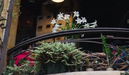 Thời tiết 10 ngày tới trên cả nước từ ngày 1-10/4: Mưa rải rác vài nơi, trời rét