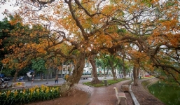 Thời tiết 10 ngày tới trên cả nước từ ngày 5-15/4: Ngày nắng và đêm không mưa, trời rét 