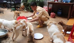 Tự hào Thượng úy CSGT Việt Nam: Ngày tới cơ quan, đêm bốc vác kiêm phụ hồ cứu hộ chó mèo bị bán vào lò mổ