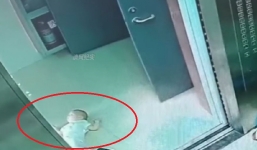 Mẹ bỏ mặc con 6 tháng nằm khóc trên nền đất, lý do sau đó nhận triệu lời khen