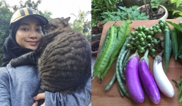 Mệt mỏi với cuộc sống thành thị, cô gái thiết kế đồ họa về quê làm nông dân 'chính hiệu'