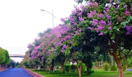 Dự báo thời tiết 10 ngày tới trên cả nước từ ngày 16-26/5: Mưa rào rải rác, cảnh báo lốc sét