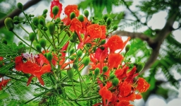 Dự báo thời tiết 10 ngày tới trên cả nước từ 25/5-4/6: Mưa giảm, có lúc có nắng