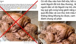 Thực hư bức ảnh 'mẹ ôm con dưới bùn' được chụp tại Quảng Trị’ đang lan truyền trên mạng