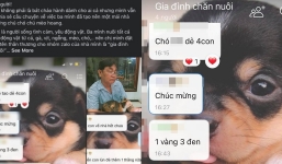 ‘Gia đình chăn nuôi’ chuyên nhận chó mèo hoang, cha quyết không đi chơi vì ‘đi rồi có ai cho chó ăn’