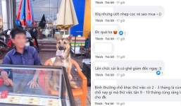 Chú chó ‘cục súc’ đi bán vé số khi mới 2 tháng tuổi khiến các 'con sen' thêm sầu