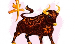 3 con giáp cuối năm 2020 càng thẳng thắn, không lươn lẹo thì càng phất nhờ được 'độ'