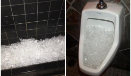 Vì sao nhiều quán ăn, nhà hàng, nhà nghỉ thường rải đá kín bồn cầu nam?