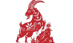 2 con giáp bù đầu trong tháng cuối năm 2020: Làm hoài cũng không nhàn hạ, cách khắc phục là do chính mình