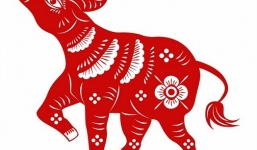 Tử vi chi tiết 12 con giáp 2021 - Tuổi Sửu: Tài lộc lên xuống, nên ‘đi 1 bước, phòng 1 bước’