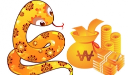 12 con giáp năm 2021 – Tuổi Tỵ: Sự nghiệp ‘thiên thời địa lợi’, sức khỏe lại cần chú ý