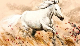 12 con giáp năm 2021 – Tuổi Ngọ: Sự nghiệp có thể đi lên, sức khỏe hết sức chú ý