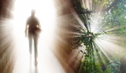 Bà cụ nằm quan tài 6 ngày bỗng bật nắp dậy, vào bếp nấu cháo vì… đói