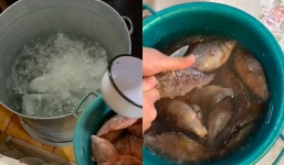 CĐM Việt Nam sốc với cách rã đông cá của dân Nga: Đổ nước đá lạnh thẳng vào thực phẩm, chính chủ đành giải thích 