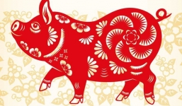 12 con giáp chi tiết 2021 – Tuổi Hợi: Sự nghiệp, tài lộc ‘nở rộ’ nhưng tình cảm buồn với người độc thân