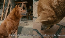 Cậu Vàng tiếp thu nhanh, diễn sâu là thế nhưng khiến cả đoàn phim điêu đứng chỉ vì 1 điều