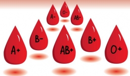 Nhóm máu không chỉ quyết ADN mà còn ‘chốt luôn’ tính cách của bạn như thế nào?