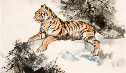 12 con giáp – Dần cần đặc biệt lưu ý điều gì nếu muốn 2021 hanh thông trong sự nghiệp