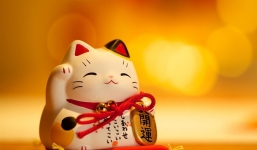 12 con giáp - Mão cần đặc biệt lưu ý điều gì trong năm 2021 nếu muốn vận thế hanh thông