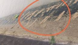 Vết cào ‘níu kéo’ sự sống của bé trai lớp 3 đuối nước ở Nghệ An gây ‘nhói lòng’