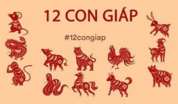 Giải mã tài vận 2021 của 12 con giáp thông qua ngày, tháng sinh?